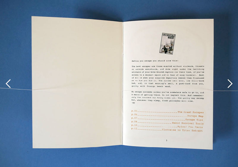 Survival guide par Louis Schickel